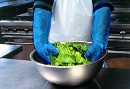 Poly Food Service Gloves/Deli Gloves