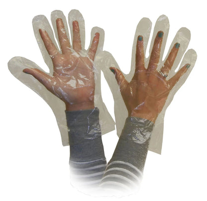 Poly Food Service Gloves/Deli Gloves – 0.5 Mil, Pack of 2000