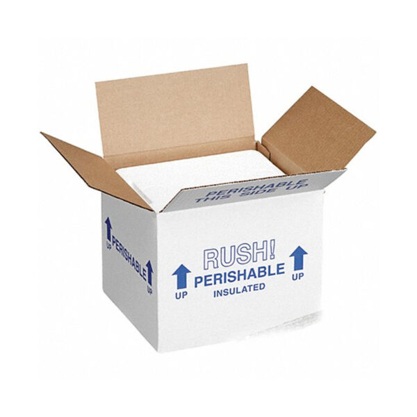 Insulated Shipping Container for Temperature-Sensitive Goods - Image 2