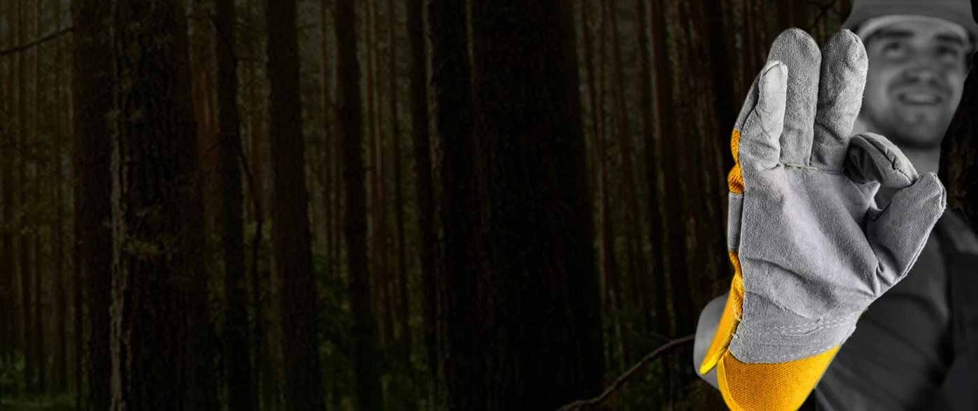 Premium leather gloves for comfort and style